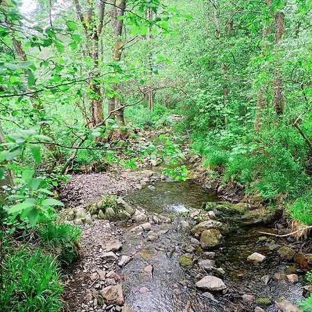 Apartmán Baumkrone *